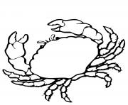 crabe realiste dessin à colorier