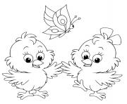 Coloriage poussin bebe poule domestique dessin