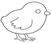 Coloriage poussin bebe poule domestique dessin
