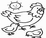 Coloriage jeune poussin poule dessin