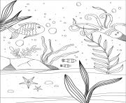 Coloriage etoile de mer plage dessin