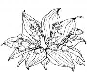 fleurs de muguet realiste dessin à colorier