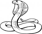 Coloriage serpent snake dessin