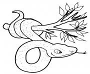 Coloriage serpent enroulant une branche dessin