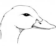 Coloriage mignon canard kawaii dessin