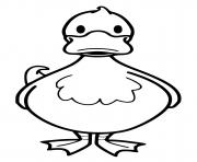 Coloriage canard realiste dessin