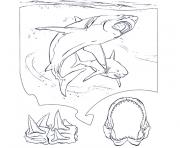 Coloriage animaux de la mer monde marin poisson dauphin requin dessin