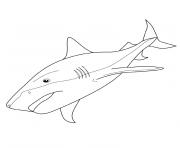 Coloriage un requin qui a peur d un poisson moche dessin