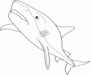 Coloriage un requin veut manger le poisson rouge dessin