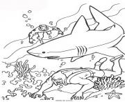 Coloriage un requin veut manger le poisson rouge dessin