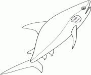 Coloriage un requin veut manger le poisson rouge dessin