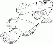 poisson brochet dessin à colorier