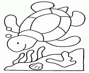 Coloriage une tortue qui nage au fond de l ocean