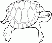 Coloriage une grenouille sur la carapace de la tortue dessin