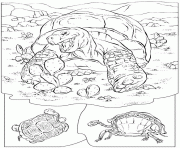 Coloriage tortues noir et blanc pour enfants dessin