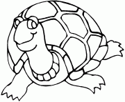 tortue de face dessin à colorier
