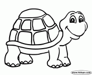 Coloriage tortue dessin