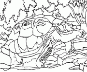 tortue en foret dessin à colorier
