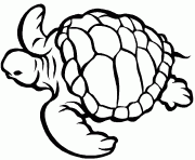 Coloriage tortue facile avec carapace dessin