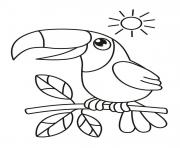 Coloriage toucan oiseau du mexique dessin