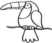 oiseau toucan simple dessin à colorier