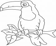 Coloriage le toucan soleil palmier dessin
