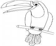 toucan oiseau du mexique dessin à colorier