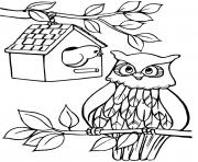 une cabane a oiseaux et un hibou dessin à colorier