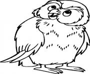 Coloriage vieux hibou sur un arbre dessin