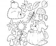 automne pommes ecureuil herisson dessin à colorier
