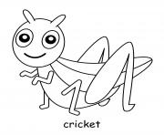 criquet insecte dessin à colorier