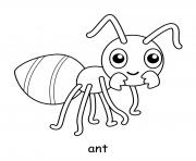 fourmis dessin à colorier