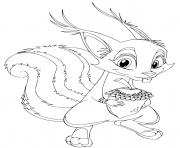 ecureuil squirrel dessin à colorier