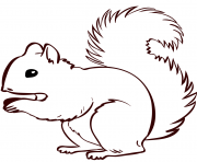 ecureuil realiste dessin à colorier