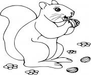 ecureuil adore les noisettes dessin à colorier