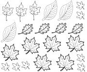 feuilles automne dessin à colorier