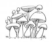 champignons de la foret dessin à colorier