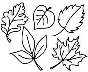 feuilles de la saison automne dessin à colorier