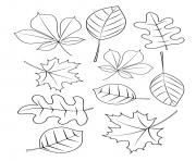 les feuilles changent de couleur en automne dessin à colorier