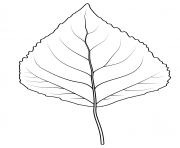 Coloriage feuille de catalpa nothern dessin