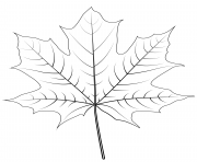Coloriage automne feuilles dessin