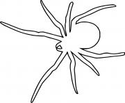 Scary araignee insecte dessin à colorier