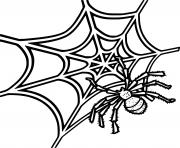 Coloriage mandala adulte araignee zentangle dessin