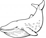 baleine a bosse animal marin dessin à colorier