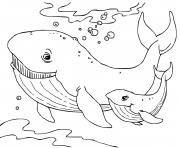 baleine cachalot mammifere marin dessin à colorier