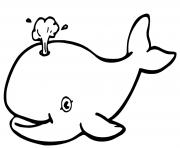 Coloriage baleine simple pour enfants dessin