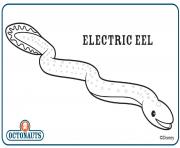 electric Eel dessin à colorier