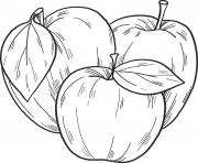 trois pommes realistes dessin à colorier