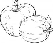 deux pommes realistes dessin à colorier