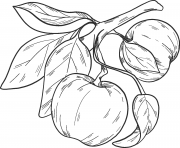 Coloriage pomme kawaii dessin